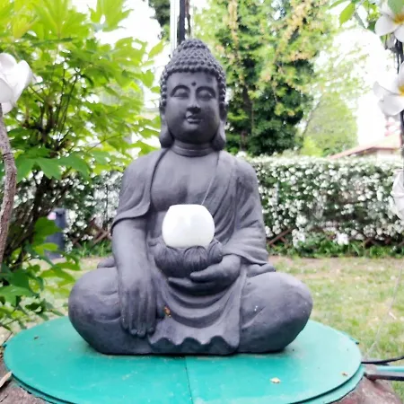 Newmidi Terrace, Wifi 招待所 3*