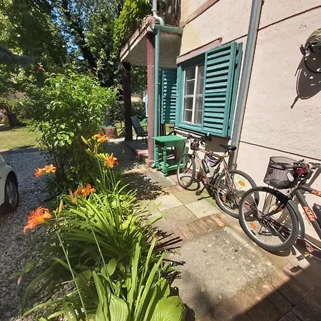 Konukevi Newmidi Terrace, Wifi