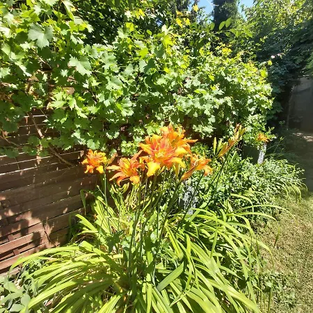 Newmidi Terrace, Wifi 招待所 3*