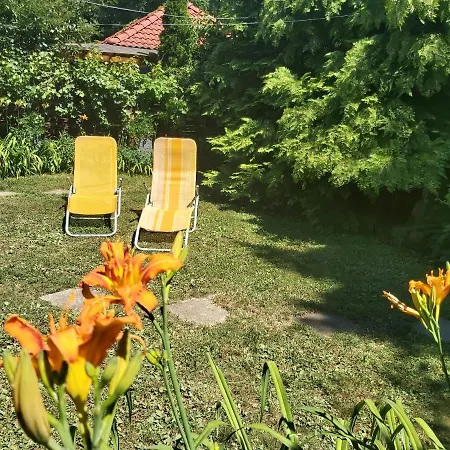 Newmidi Terrace, Wifi Guest house