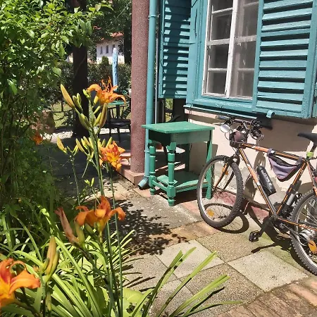 Guest house Newmidi Terrace, Wifi