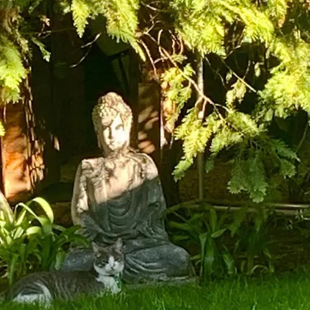 Konukevi Newmidi Terrace, Wifi 3*