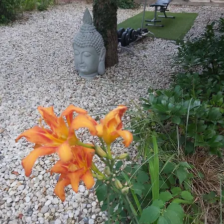 Newmidi Terrace, Wifi