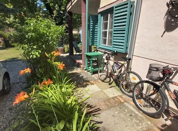 Gasthof Newmidi Terrace, Wifi