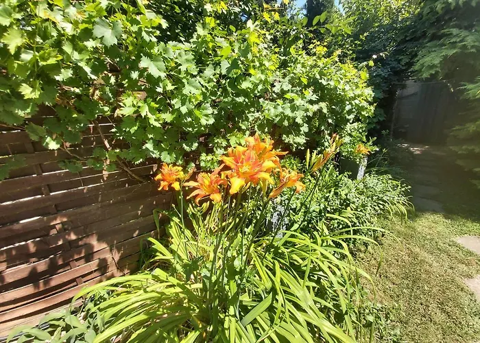 Newmidi Terrace, Wifi Pensjonat 3*