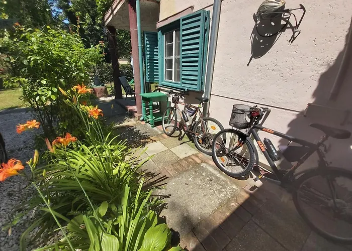 Gasthof Newmidi Terrace, Wifi 3*