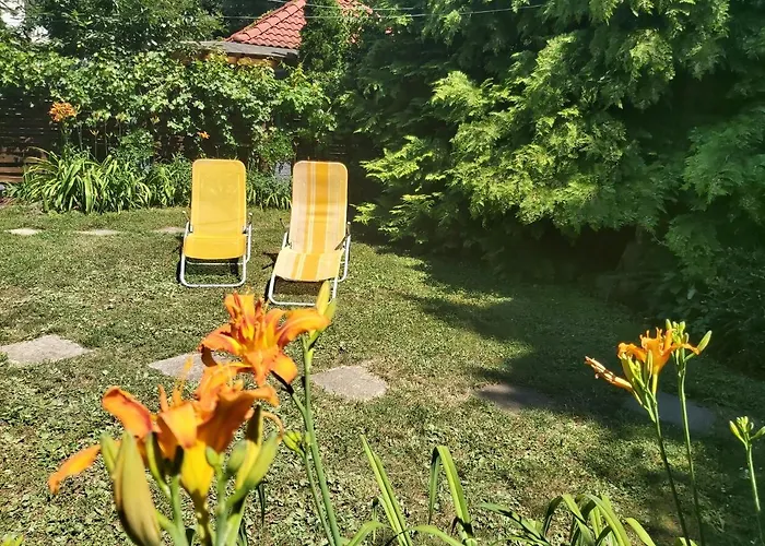 Newmidi Terrace, Wifi Pensjonat