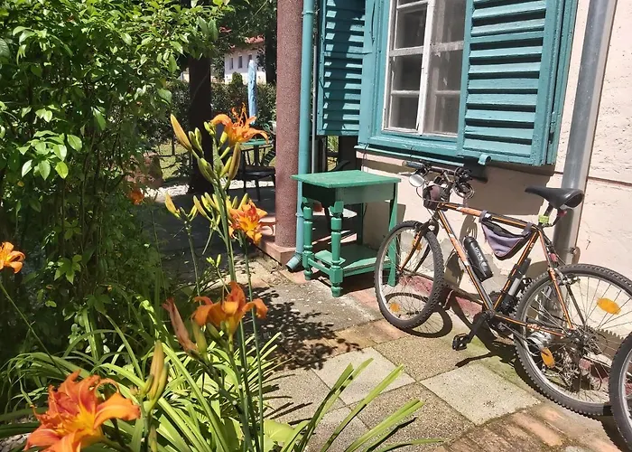 Gasthof Newmidi Terrace, Wifi