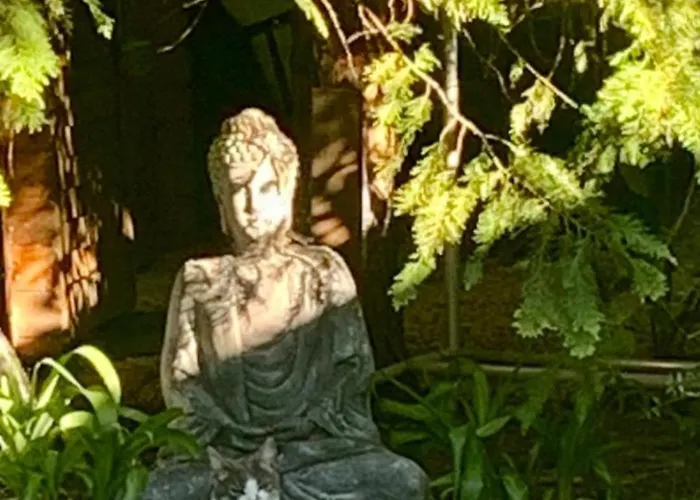 Pensjonat Newmidi Terrace, Wifi 3*