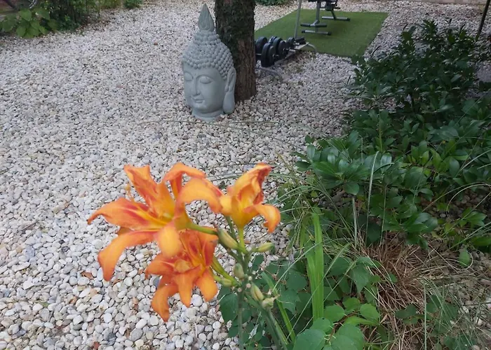 Newmidi Terrace, Wifi